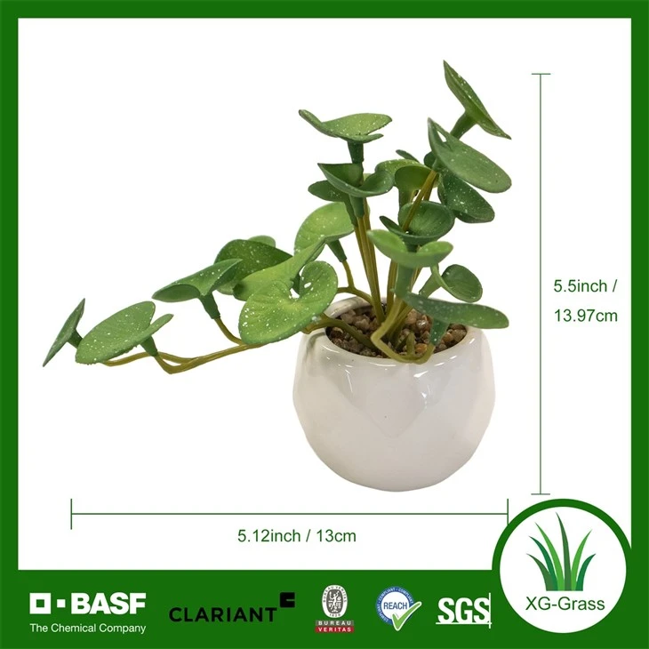 Xingu Realistic Faux Succulent Arrangements For Indoor And Outdoor Spaces best