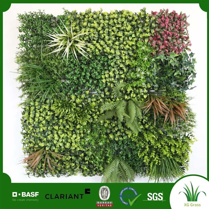 Направи си сам вертикална градинска стена на закрито