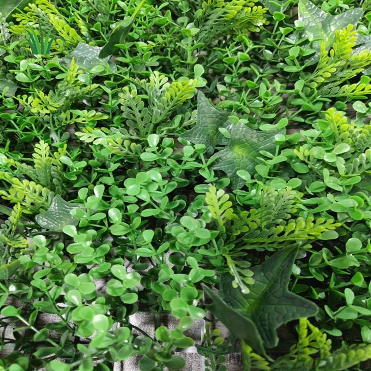 Indoor Living Green Wall