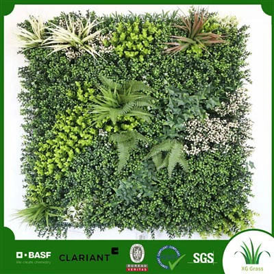 Най-добрите растения за стена за стайни растения