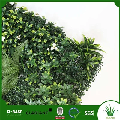 Зелени стенни растения на закрито