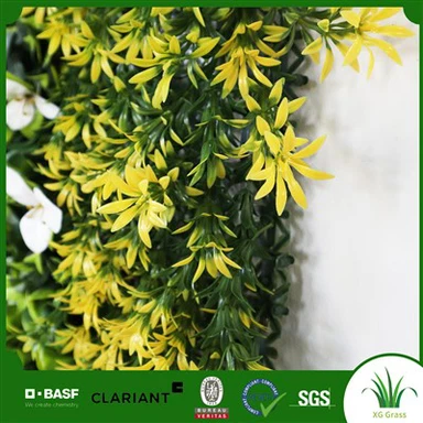 Висящи растения Стайна стена