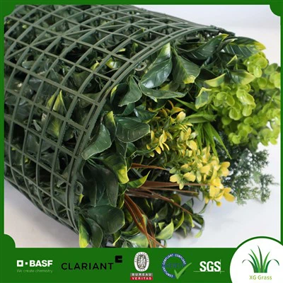 Интериорни стенни растения