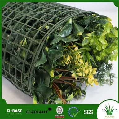 Интериорни стенни растения