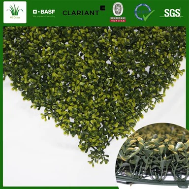 Жива билкова стена кухня