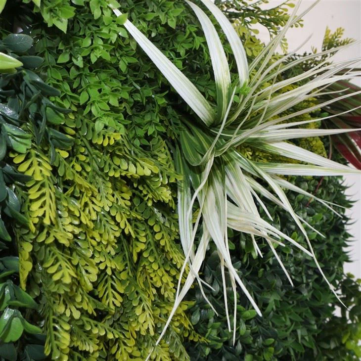 Wall Planters Indoor